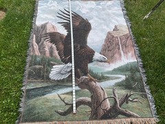 Linda Picken Freedom American Bald Eagle Vintage Tapestry Afghan Throw Blanket