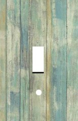 BLUE BEACH AGED WOOD IMAGE HOME DECOR LIGHT SWITCH PLATES AND OUTLETS
