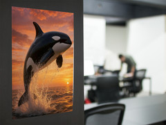 Killer Whale Sunset Ocean Wall Vinyl Decal Poster Print Removable Adhesive