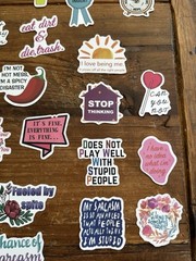 Stickers Pack of 49 Funny Sarcasm Stickers Durable Unique Laptop Bottle Thermos