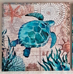 OCEAN / BEACH Wall Decor Canvas TURTLE Print 11 1/2″ Sq – NEW – Excellent