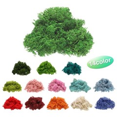 1 x Preserved Reindeer Moss 4 OZ Fake Moss for Crafts Green