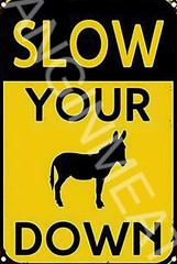 Slow Your A$$ Down Funny 8″ x 12″ Aluminum Metal Sign