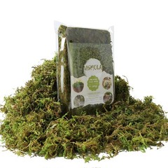 Fake Green Moss for Potted Plants, 4OZ Artificial Moss for DIY Crafts, Faux M…