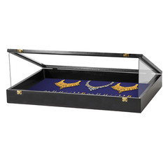 Trade Show Display Case / Card Display Case / Jewelry Case P302B Tradeshow