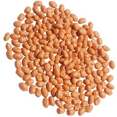 2 Bags Artificial Groundnut Kernels Peanut Model Fake Dried Decorations