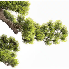 Artificial 20 In. Bonsai Pine Tree in Ceramic Pot, Faux Juniper Greenery Indoor