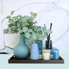 10 Pcs Mixed Eucalyptus Leaves Stems Bulk Artificial Sier Dollar Pis