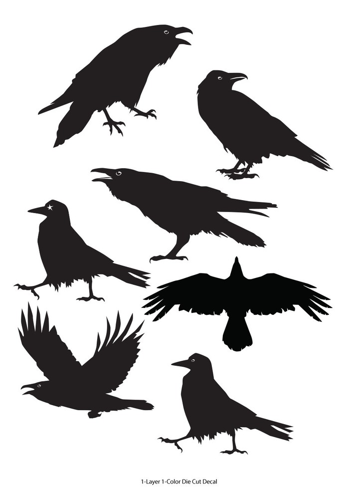 Wildlife/Birds – 7 Ravens/Crows/Corvids Decals – 6Yrs Outdoor Vinyl Film Sticker