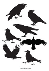 Wildlife/Birds – 7 Ravens/Crows/Corvids Decals – 6Yrs Outdoor Vinyl Film Sticker