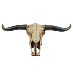 Southwestern Faux Texas Longhorn Skull Steer Rustic Cabin Ranch Decor 20 1/4″