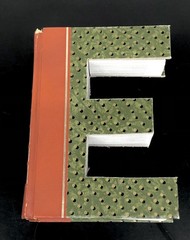 Upcycled Vtg Reader’s Digest Saw-Cut Book Letter ‘E’ Initial Decor Anthropologie
