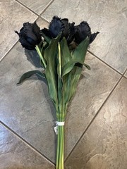 West Elm Black DP Violet tulip faux flowers bouquet Halloween 6 stems New