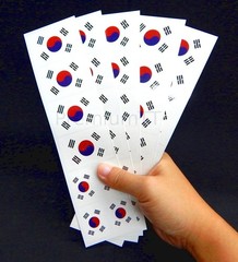 40 Removable Stickers: South Korean Flag, Korea Party Favors, Decals