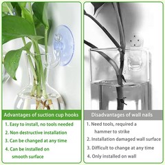 4Pack Window Propagation Stations with Suction Cups for Easy Plant Care