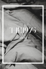 The 1975 And Ep Sex Music Album Rock Music Band Cover Wall Art – POSTER 20×30