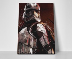 Star Wars Stormtrooper Poster or Canvas