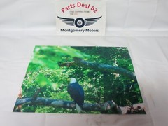 Eagle On Greenbrier River Print Portrait Picture 8 x 10 Portrait Vertical Gloss
