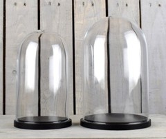 Medium Glass Dome Display Cover Cloche Black Base Height 30 x 20 cm