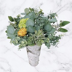 10 Pcs Mixed Eucalyptus Leaves Stems Bulk Artificial Sier Dollar Pis