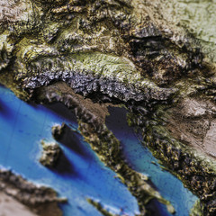 Real 3D raised relief map of Europe – with touchable mountain peaks.