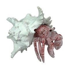 Resin Hermit Crab Statue Red Whitewashed Shell Coastal Figurine 5.25 In