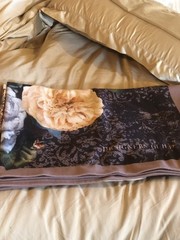 Gorgeous 100% Wool Throw Designers Guild