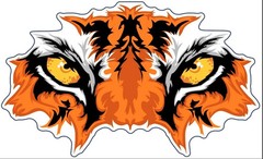 TIGER EYES DECAL STICKER 3M USA MADE TRUCK HELMET VEHICLE WINDOW WALL CAR