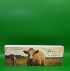 There Is Beauty In Simplicity Wood Block 10″x3.5″x1.25″ New P Graham Dunn