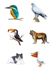 Baby Animals Peel and Stick Removable Wall Stickers for Kids Nursery Bedroom