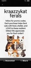 Crazy Cat Lady Metal Sign 8×12 Funny Feline Enthusiast Vintage Wall Decor