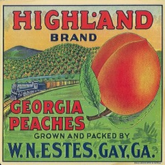 Vintage Highland Georgia Peach Crate Label Reproduction Steel Sign FREE SHIPPING