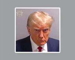 Donald Trump Mug Shot Die Cut Glossy Vinyl Sticker