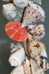 Seashell Hanging Decor Valentine Gift For Her, Natural / Handmade, 13″, G-04