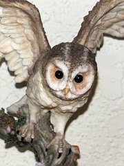 Owl Spreading Wings on Perch Statue 2005 Veronese