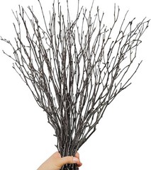30Pcs Real Dried Birch Twigs – 16” Decorative 100% Natural Birch Branches for…