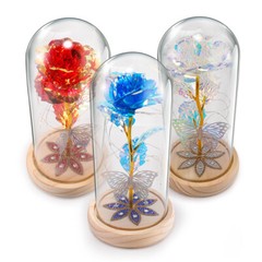 Rose Flower In Glass Gift For Women Wife Her Valentine Girlfriend Birthday Gifts