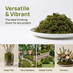 1 Pack Artificial Moss Fake Lichen Simulation Green Faux Pot Moss for DIY Min