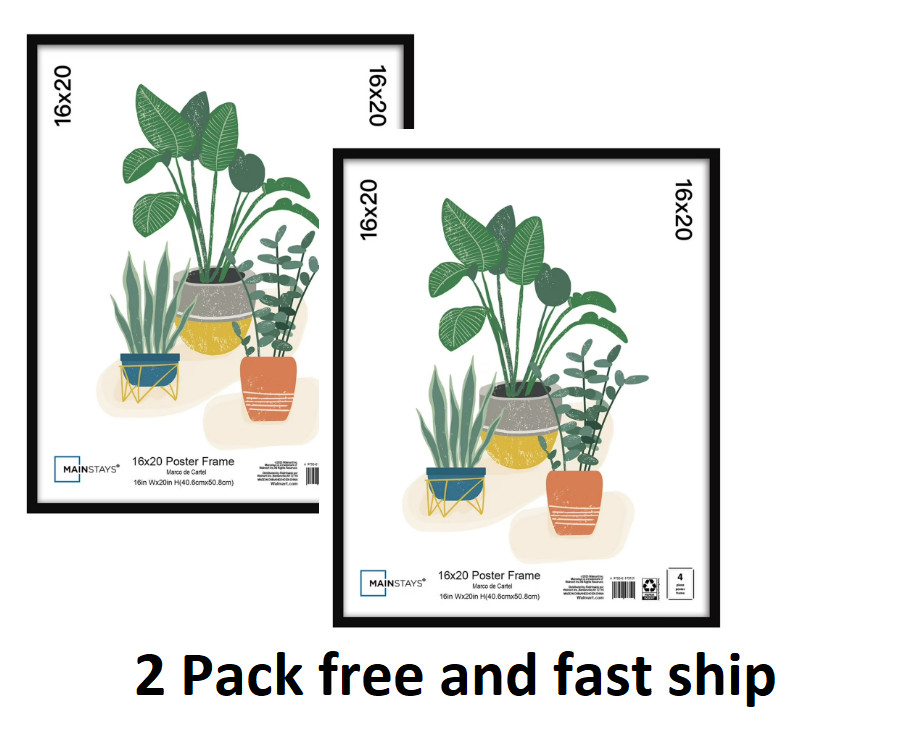 2 pack 16×20 Basic Black Poster Frame