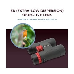 Oberwerk Sport ED Binocular (8×42) – Professional Binoculars for Adults/Hikin…