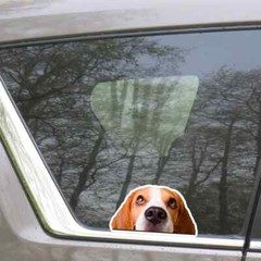 Peeking Beagle Car Sticker / Realistic Dog Head Vinyl Waterproof Removable Decal