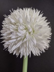Artificial 26″ allium stem WHITE