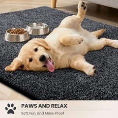 Easy Care Area Rug 4.5ft x 7ft, Non-Slip Washable Entryway Rug, Dog Door Mat,
