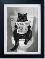 Black Cat Bathroom Wall Art Black and White Cat on Toilet Picture Wall Decor Fun