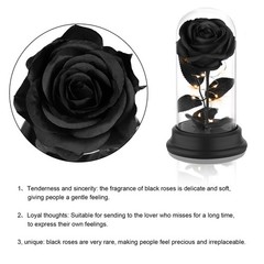 Deluxsa Forever Preserved Black Rose Birthday Gifts for Women,Eternal Flower …