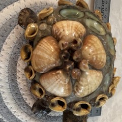 Hand Painted Ceramic & Shell Turtle Figurine, Glossy Brown/Beige/Green Shells