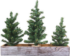 3 Pack Mini Canadian Pine Trees with Wood Bases Artificial Miniature