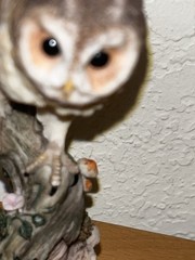 Owl Spreading Wings on Perch Statue 2005 Veronese
