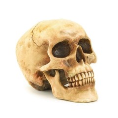 Realistic Human Skull Statue Polyresin Halloween Gothic Table Home Decor