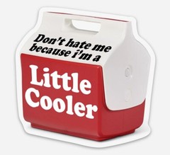 2-pack Don’t Hate Me Because I’m a Little Cooler Vinyl Decals – Die Cut Stickers
